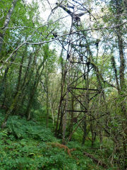 Nine Mile Point Colliery aerial ropeway pylon 2, October 2012